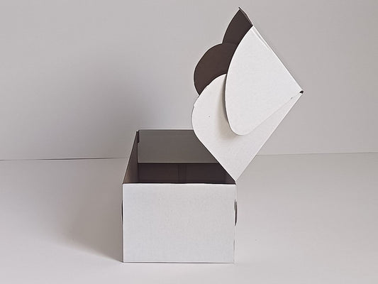 BOX 31 13 10 CM