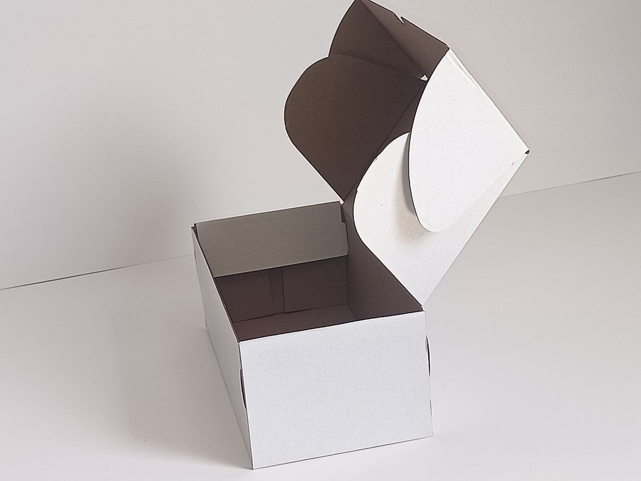 BOX 31 13 10 CM